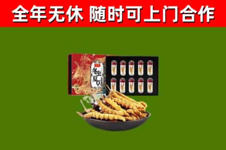 荆门回收冬虫夏草价格